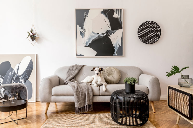 interior painting contractor